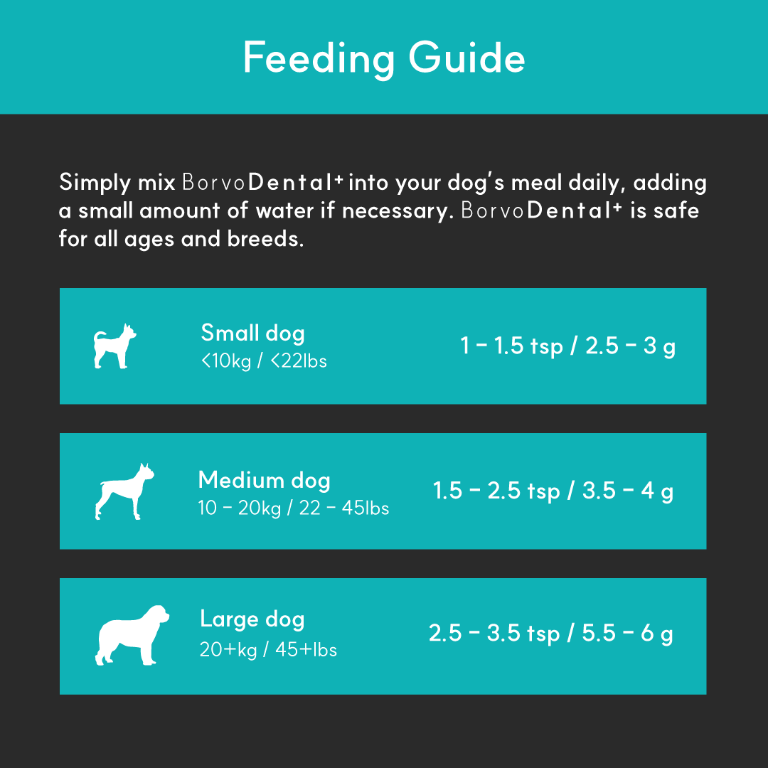 Dental+ for dogs | Borvo Nutrients