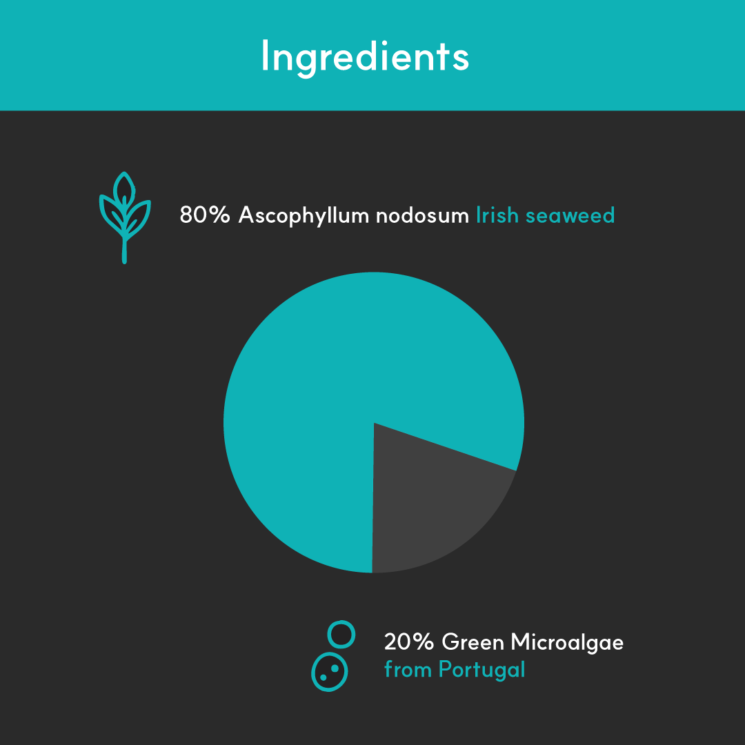 Dental+ for dogs | Borvo Nutrients