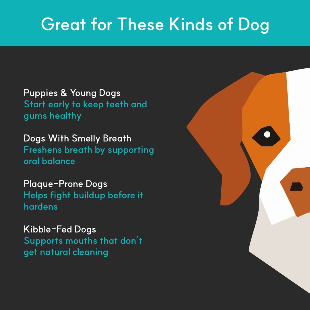 Dental+ for dogs | Borvo Nutrients