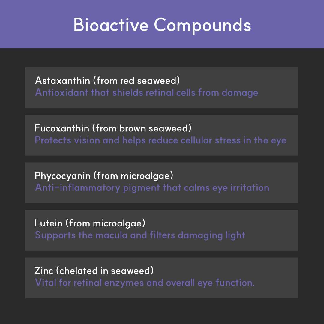 Eye+ for dogs | Borvo Nutrients