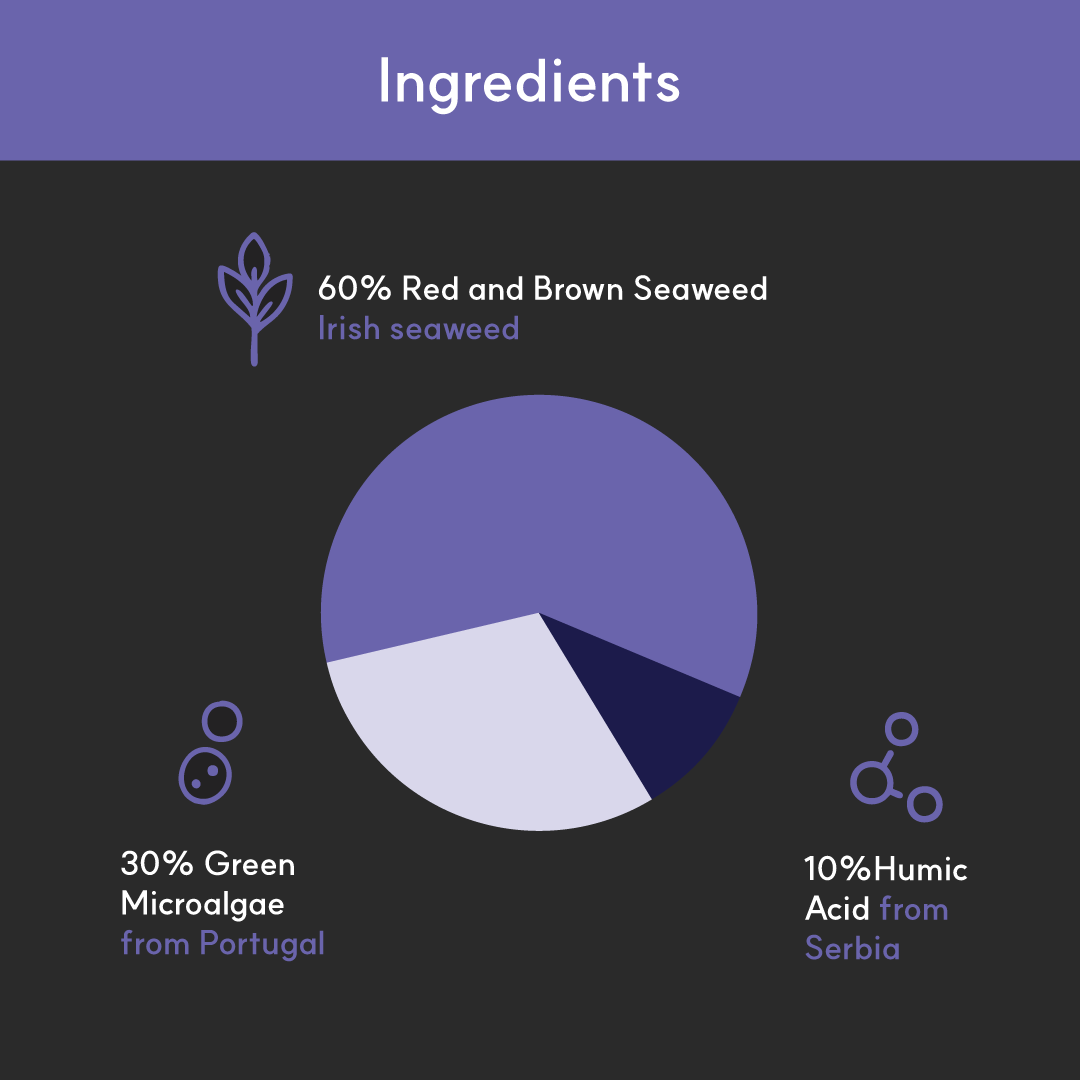 Eye+ for dogs | Borvo Nutrients