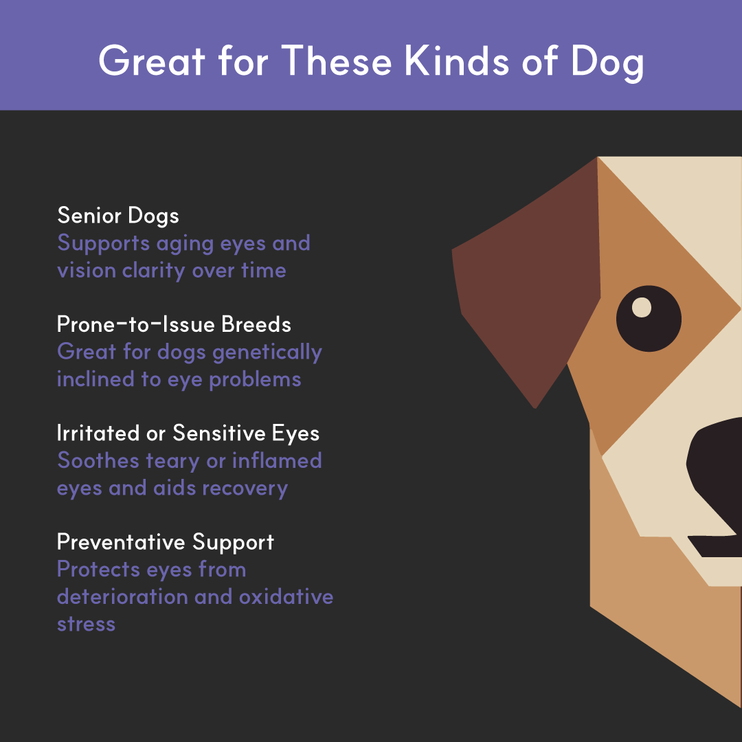 Eye+ for dogs | Borvo Nutrients