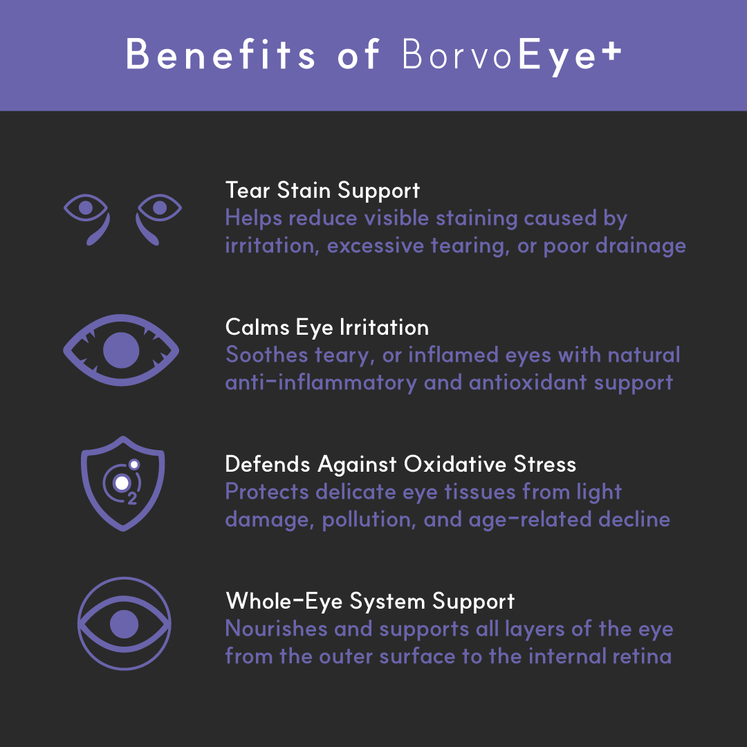 Eye+ for dogs | Borvo Nutrients
