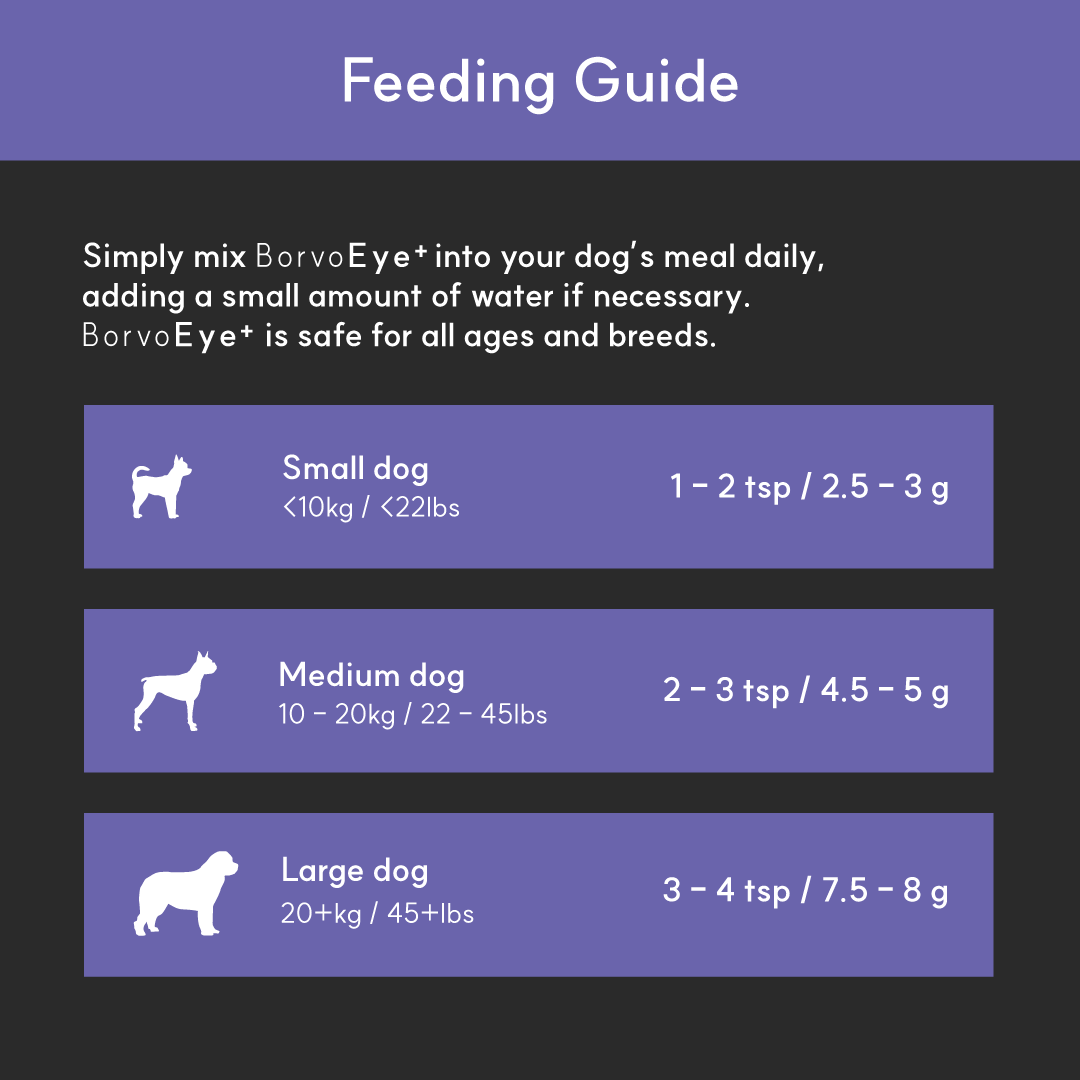 Eye+ for dogs | Borvo Nutrients