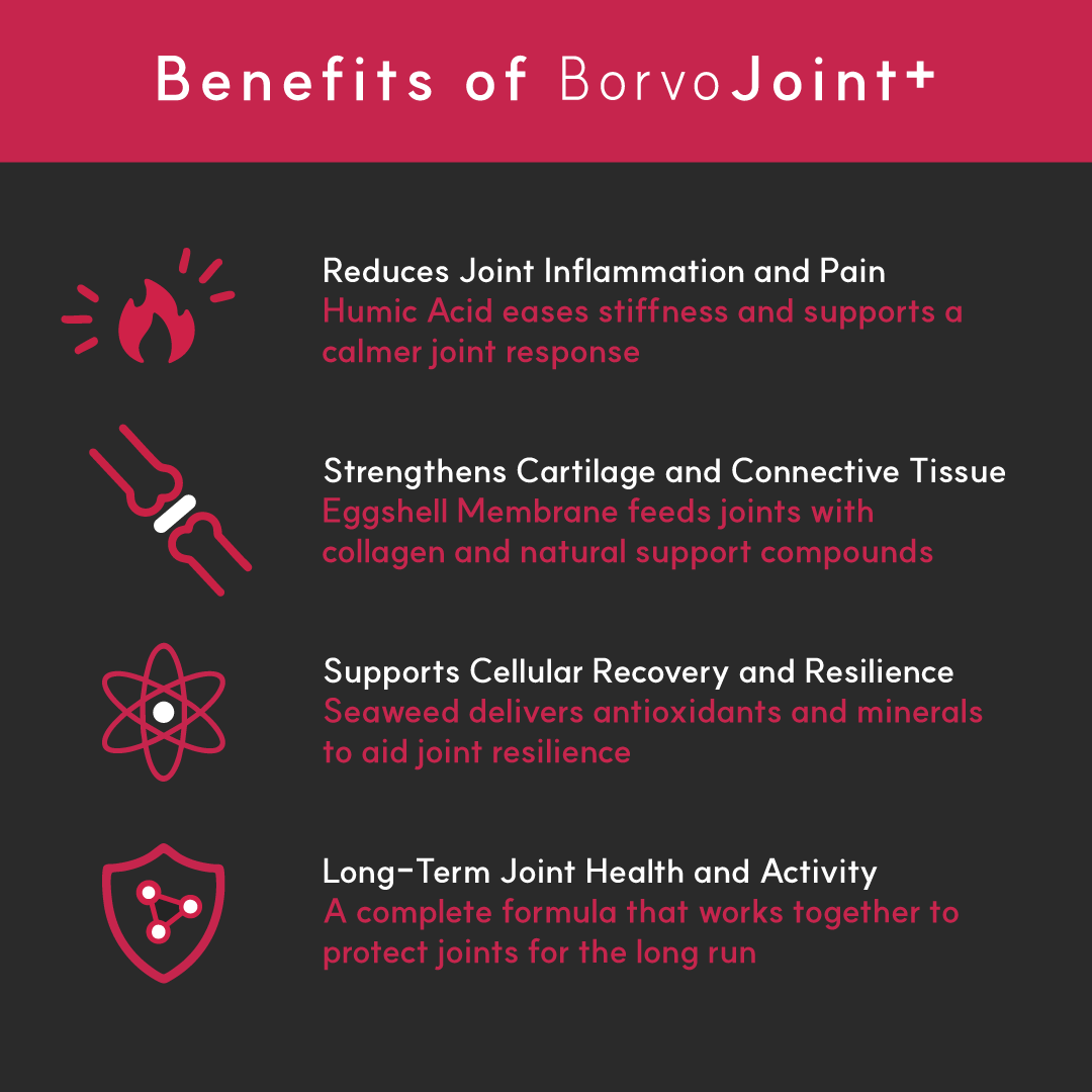 Joint+ for dogs | Borvo Nutrients