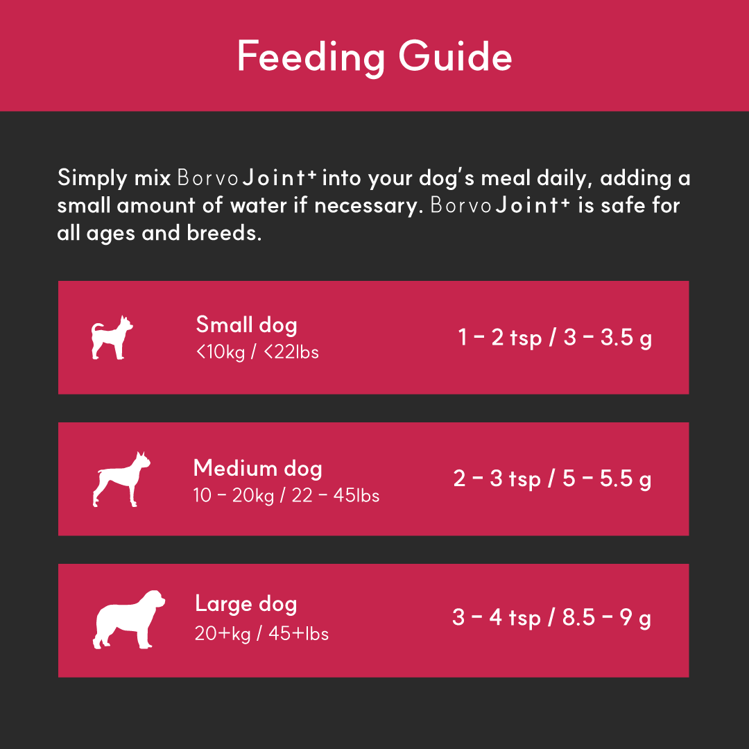 Joint+ for dogs | Borvo Nutrients