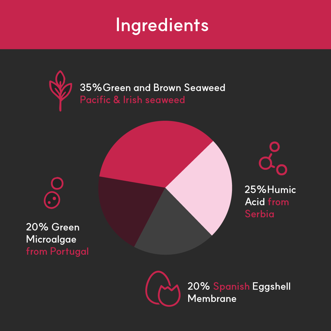 Joint+ for dogs | Borvo Nutrients