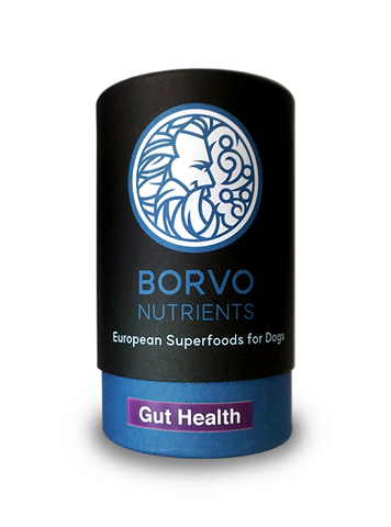 Borvo Nutrients | Gut Health for Dogs