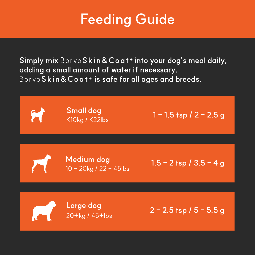 Skin & Coat+ for dogs | Borvo Nutrients