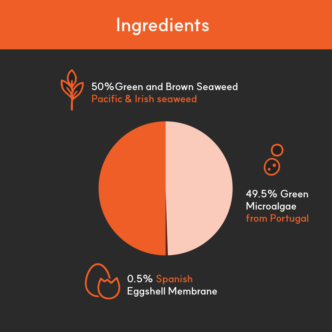 Skin & Coat+ for dogs | Borvo Nutrients