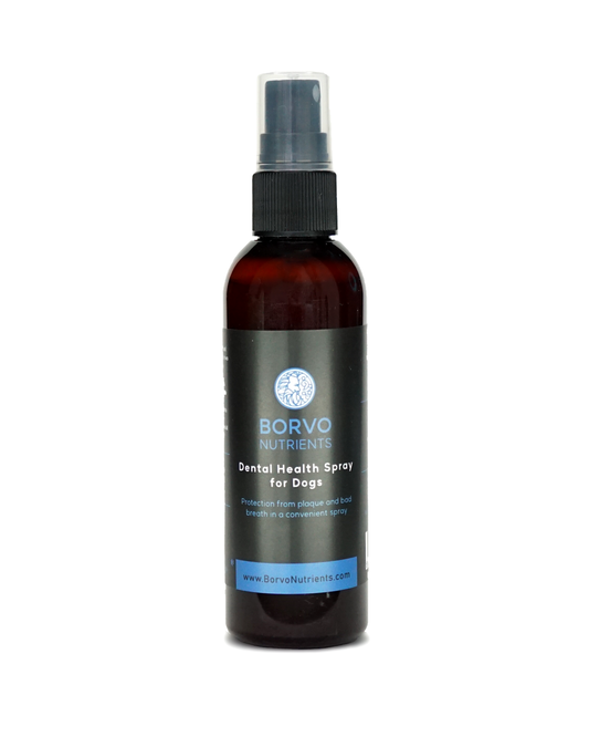 Product photo for Dental health spray