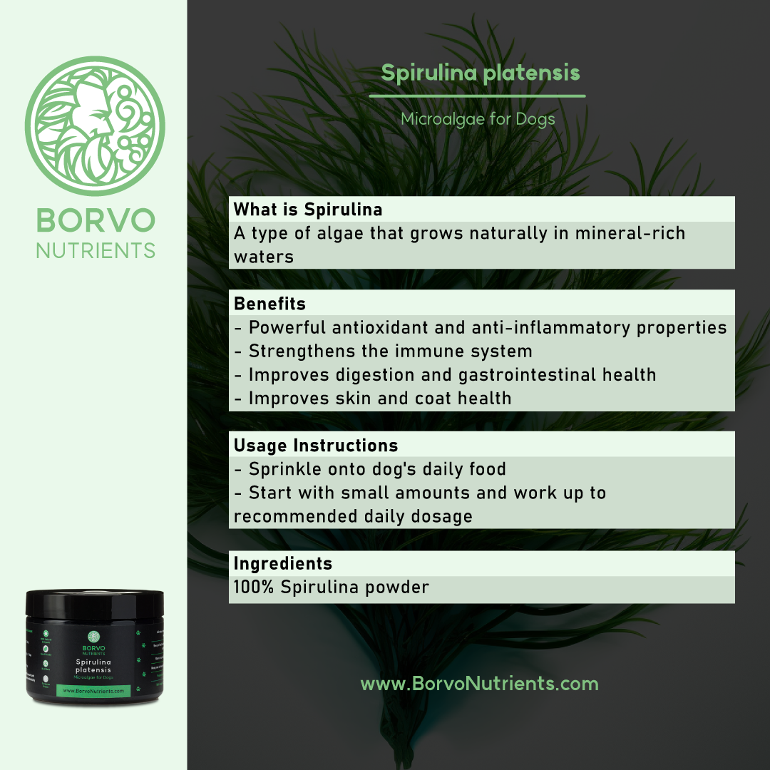 Features and Benefits of Spirulina Platensis: This infographic describes Spirulina Platensis, highlighting its benefits such as antioxidant and anti-inflammatory properties, immune system strengthening, digestive and gastrointestinal health improvement, and skin and coat health enhancement. It includes usage instructions and lists the ingredients.