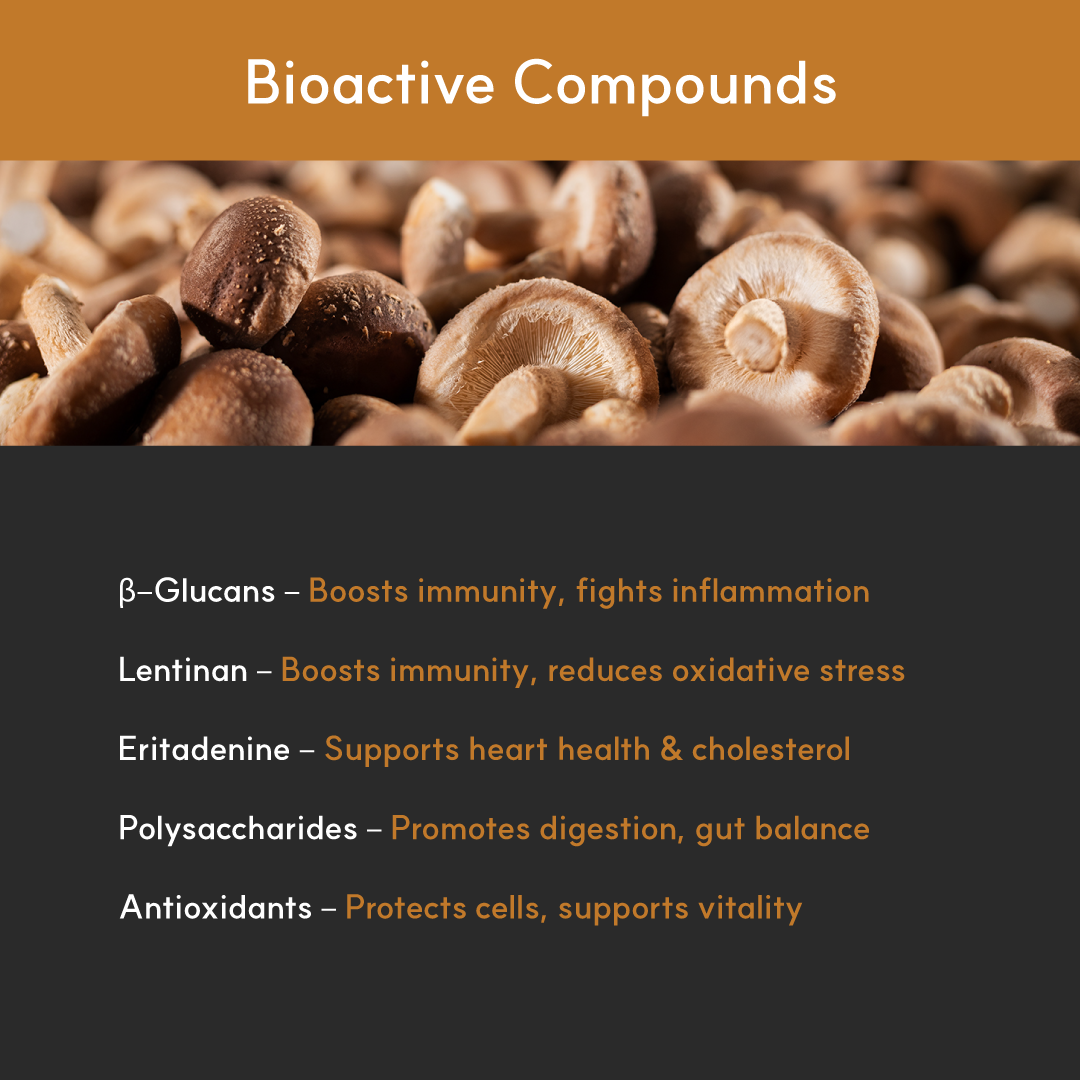Shiitake Mushroom Extract Powder for Dogs - Ultrasound Assisted Extraction for Enhanced Potency  | Borvo Nutrients