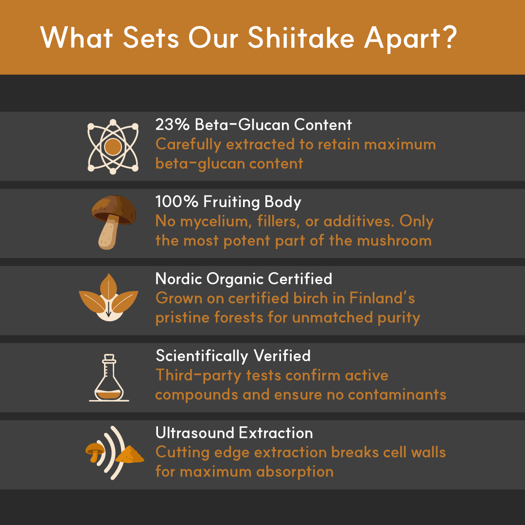 Shiitake Mushroom Extract Powder for Dogs - Ultrasound Assisted Extraction for Enhanced Potency  | Borvo Nutrients