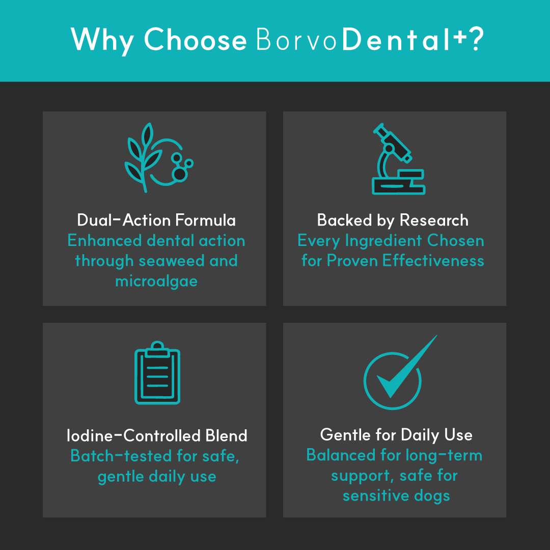 Dental+ for dogs | Borvo Nutrients