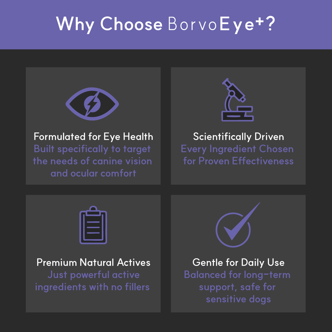 Eye+ for dogs | Borvo Nutrients