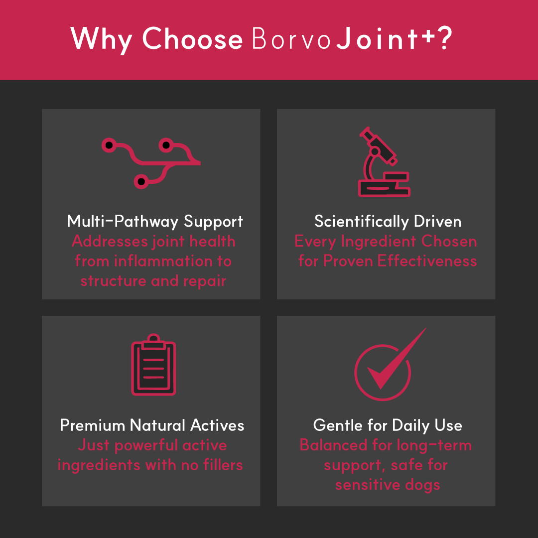 Joint+ for dogs | Borvo Nutrients
