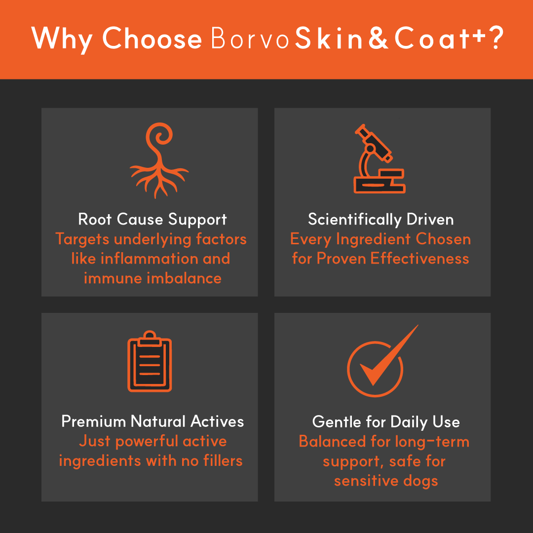 Skin & Coat+ for dogs | Borvo Nutrients