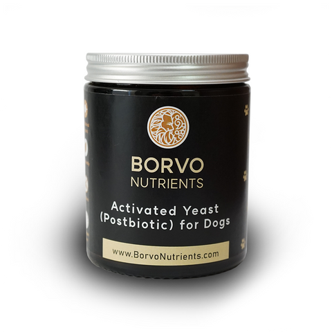 Borvo Nutrients | Activated Yeast (Postbiotic)