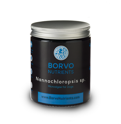 Borvo Nutrients | Nannochloropsis Microalgae for Dogs