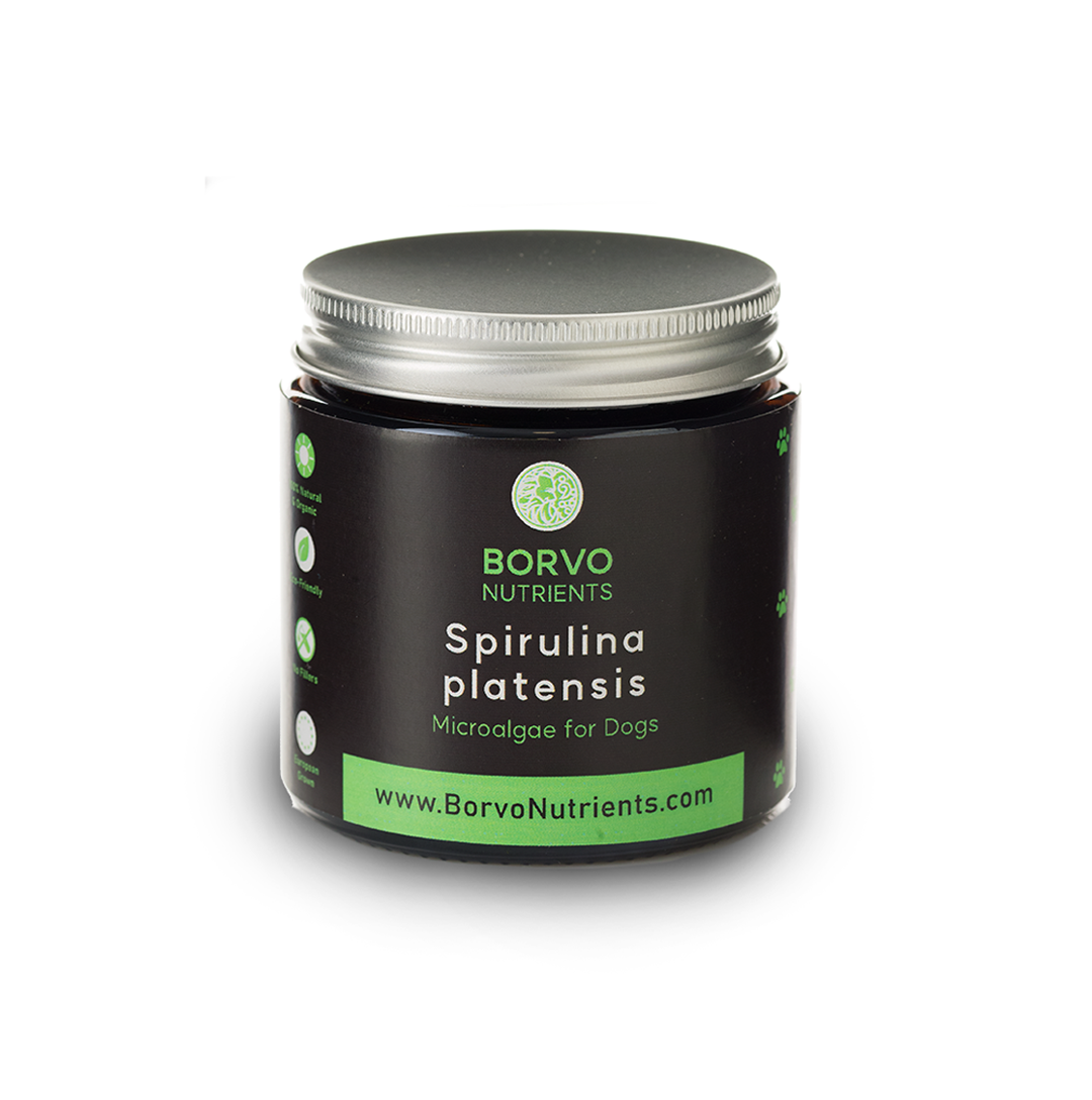 Spirulina online for dogs