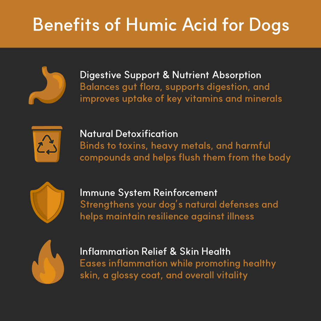 Infographic showing four key benefits of humic acid for dogs: digestive support and nutrient absorption, natural detoxification, immune system reinforcement, and inflammation relief with skin health. Each benefit is paired with a golden icon and a short description on a dark background.