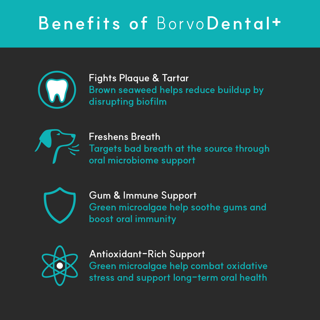 Dental+ for dogs | Borvo Nutrients