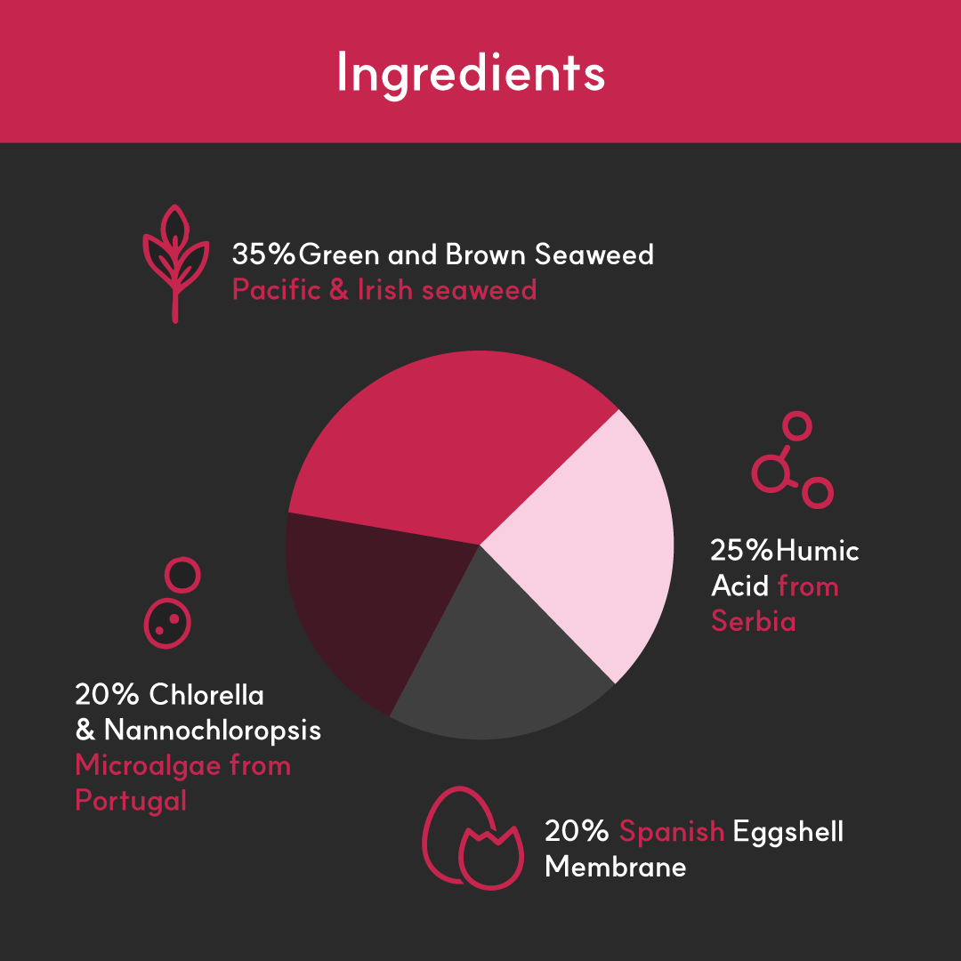 Joint+ for dogs | Borvo Nutrients