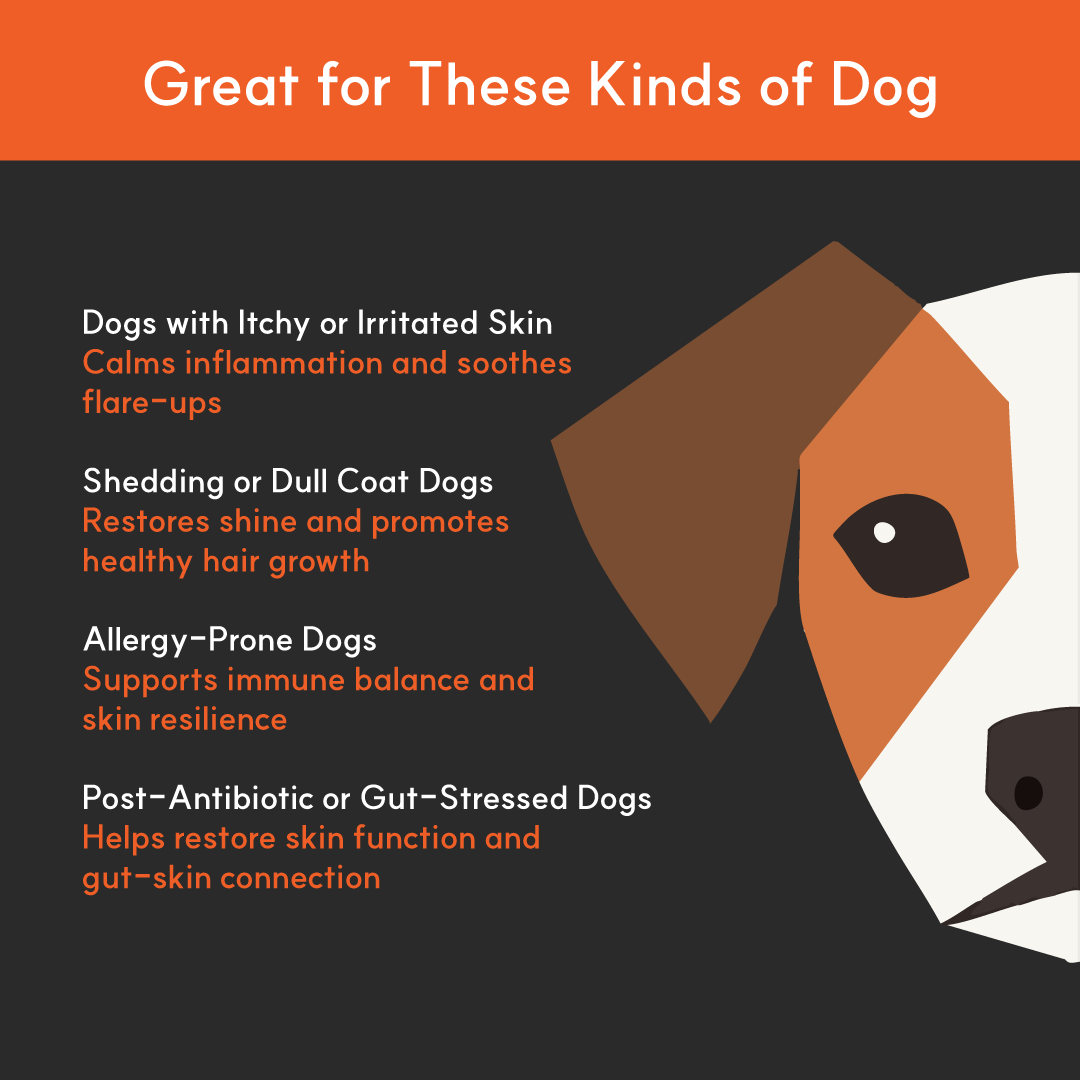 Skin & Coat+ for dogs | Borvo Nutrients