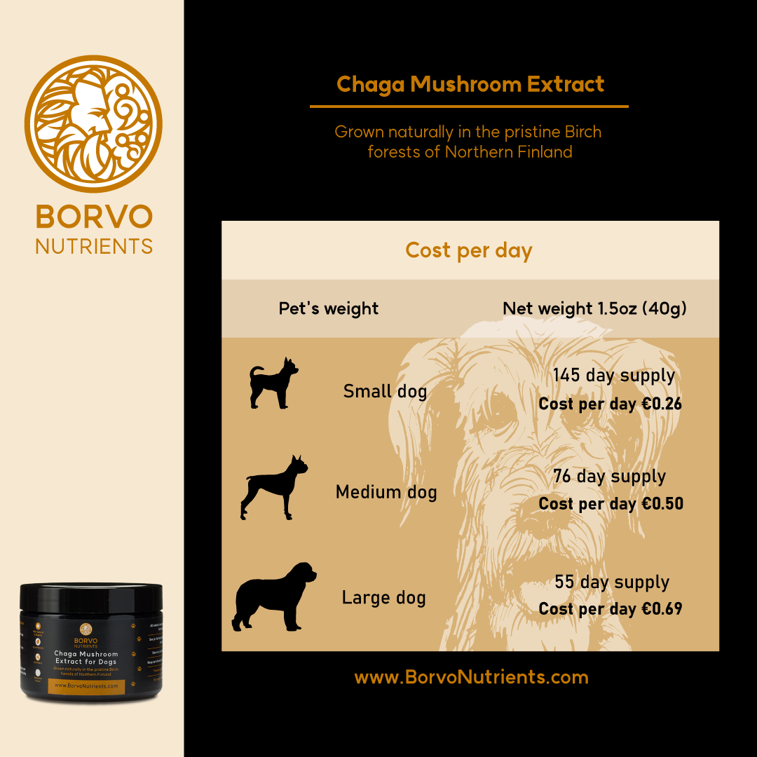 Chaga Mushroom Extract - Cost per Day: This infographic provides the cost per day and supply duration for Chaga Mushroom Extract based on different dog sizes. It mentions the net weight of the product and the cost per day for small, medium, and large dogs.