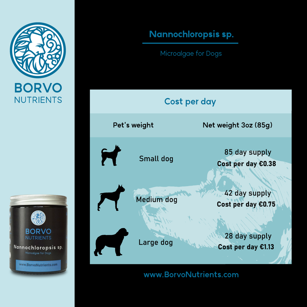 Nannochloropsis Microalgae for Dogs | Borvo Nutrients