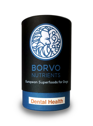 Dental + for dogs | Borvo Nutrients