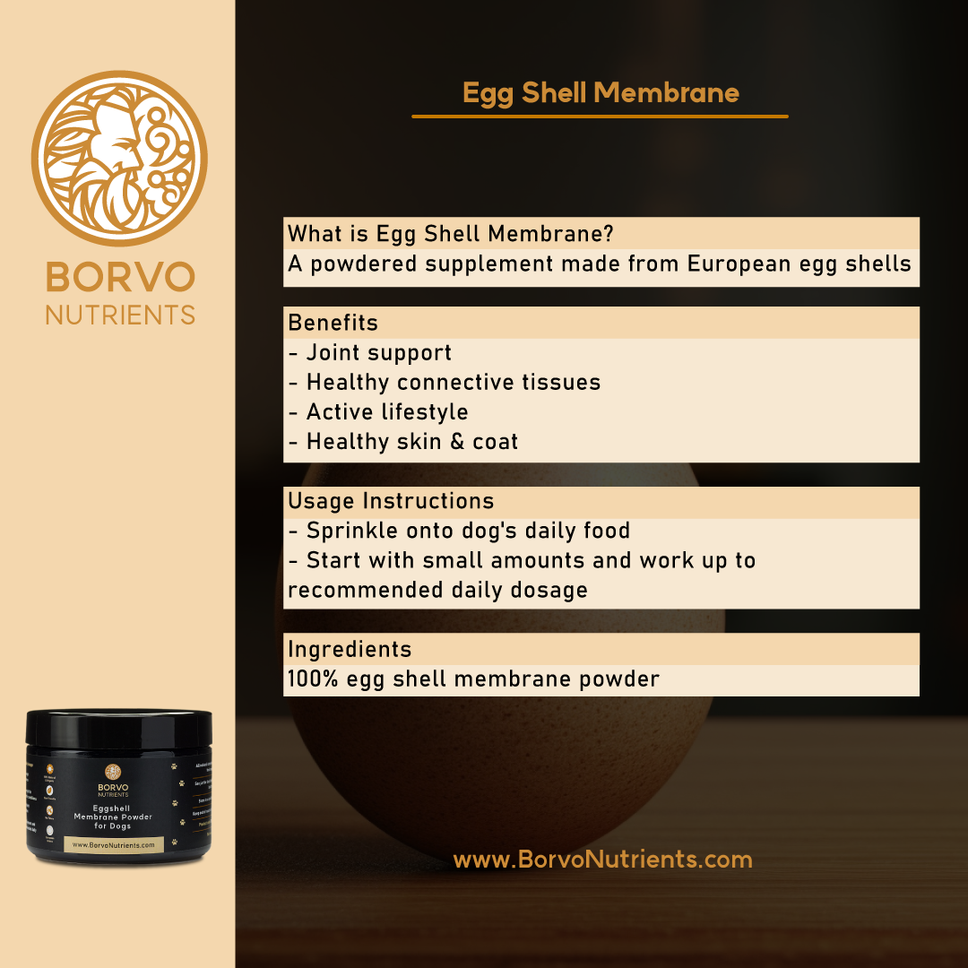 Features and Benefits of Egg Shell Membrane: This infographic explains what egg shell membrane is and lists its benefits, including joint support, healthy connective tissues, an active lifestyle, and improved skin and coat health. It includes instructions for usage and details the product's ingredients.