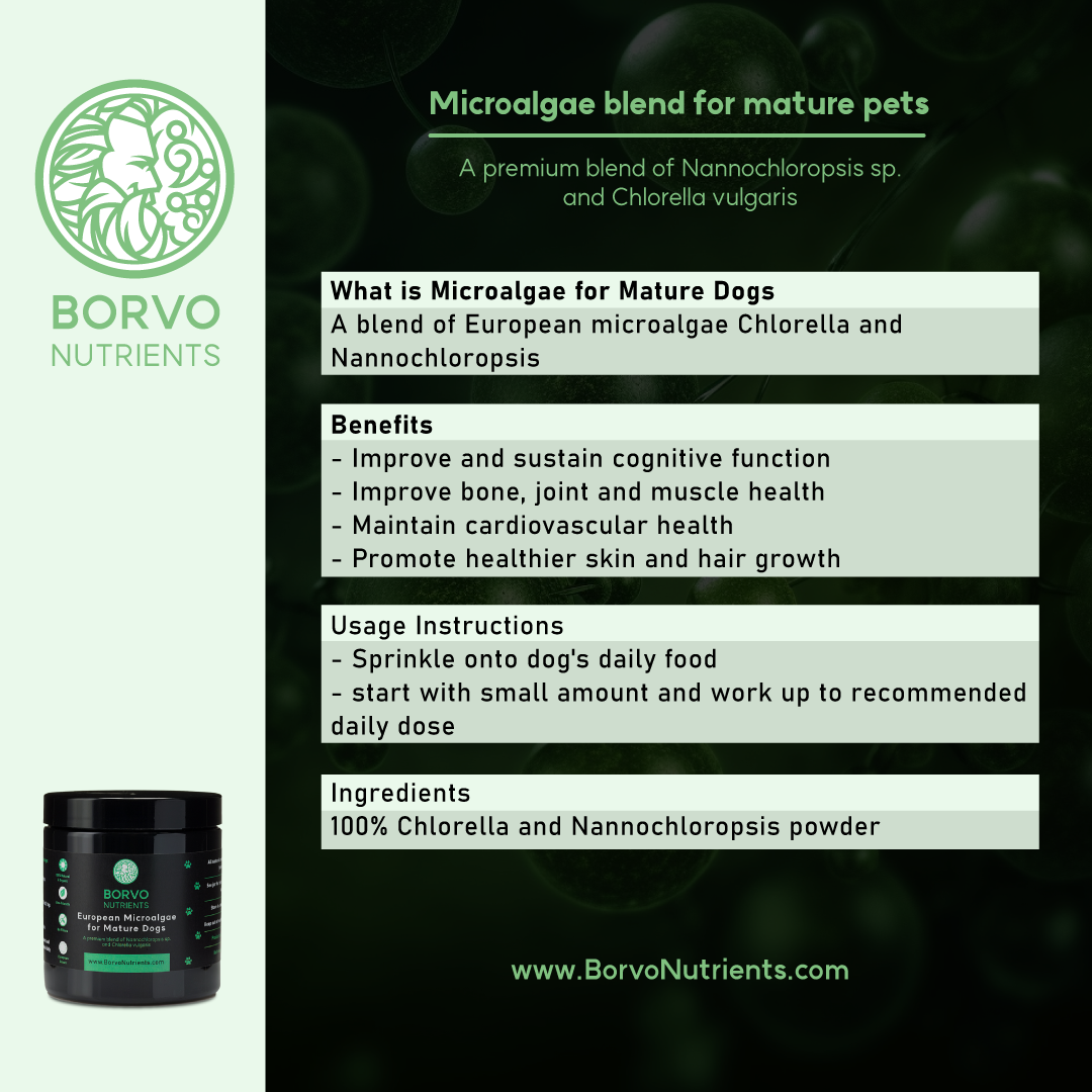 Features and Benefits of Mature Blend: This infographic describes a microalgae blend for mature pets, detailing its composition and benefits for cognitive function, bone, joint, muscle health, cardiovascular health, and skin and hair growth. It also includes usage instructions and the ingredients used in the blend.