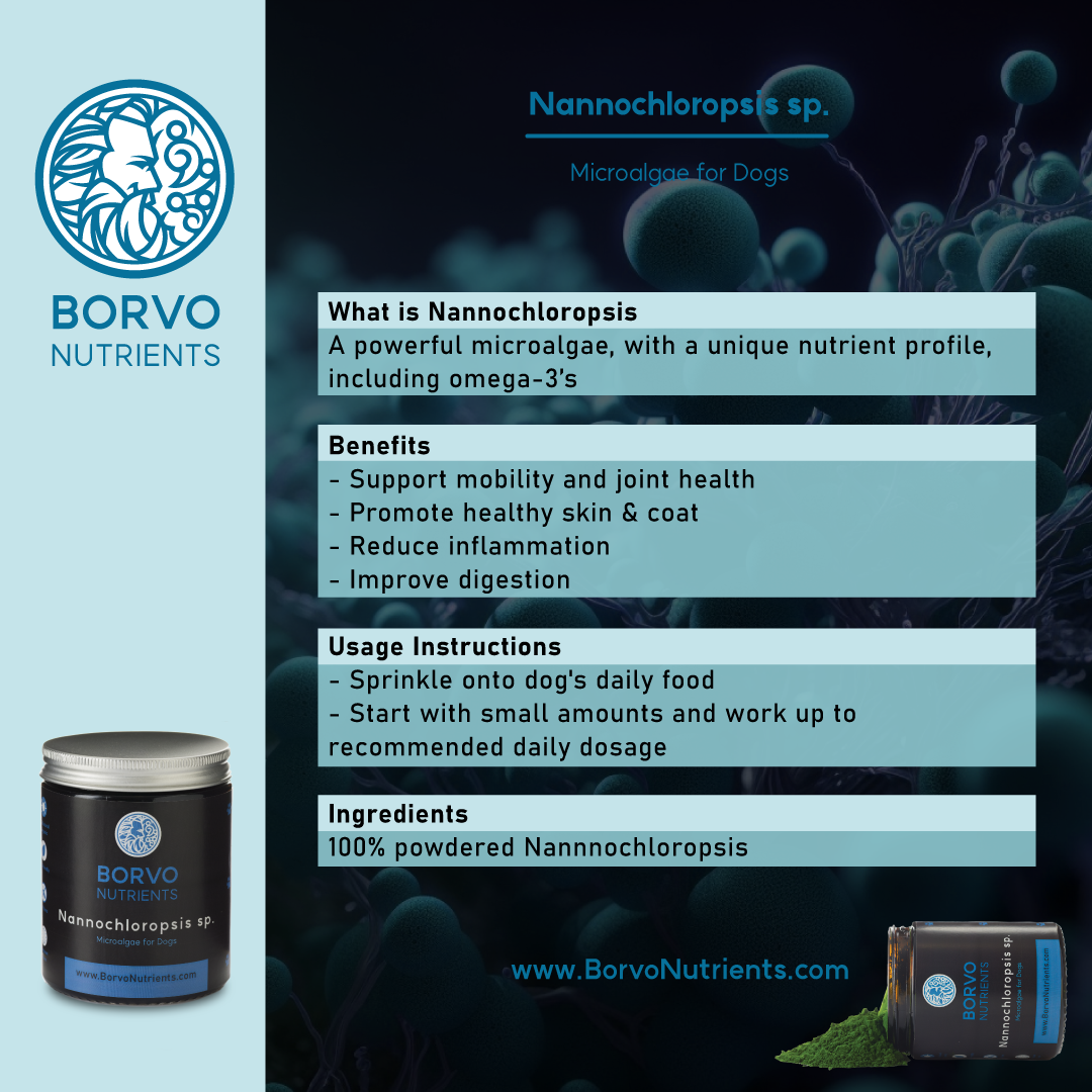 Nannochloropsis Microalgae for Dogs | Borvo Nutrients