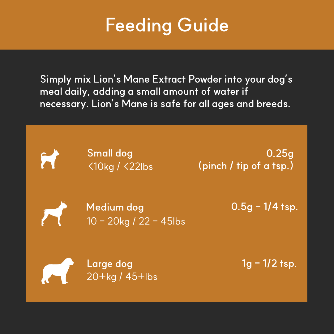 Lion's Mane Mushroom Powder Extract for Dogs - Ultrasound Assisted Extraction for Enhanced Potency  | Borvo Nutrients