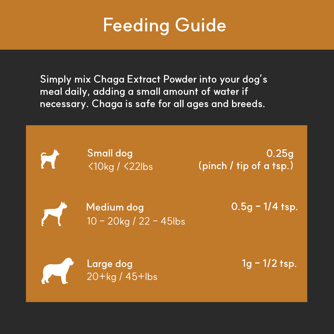 Finland-Grown Birch Tree Chaga Mushroom Extract for Dogs - Ultrasound Assisted Extraction for Enhanced Potency | Borvo Nutrients