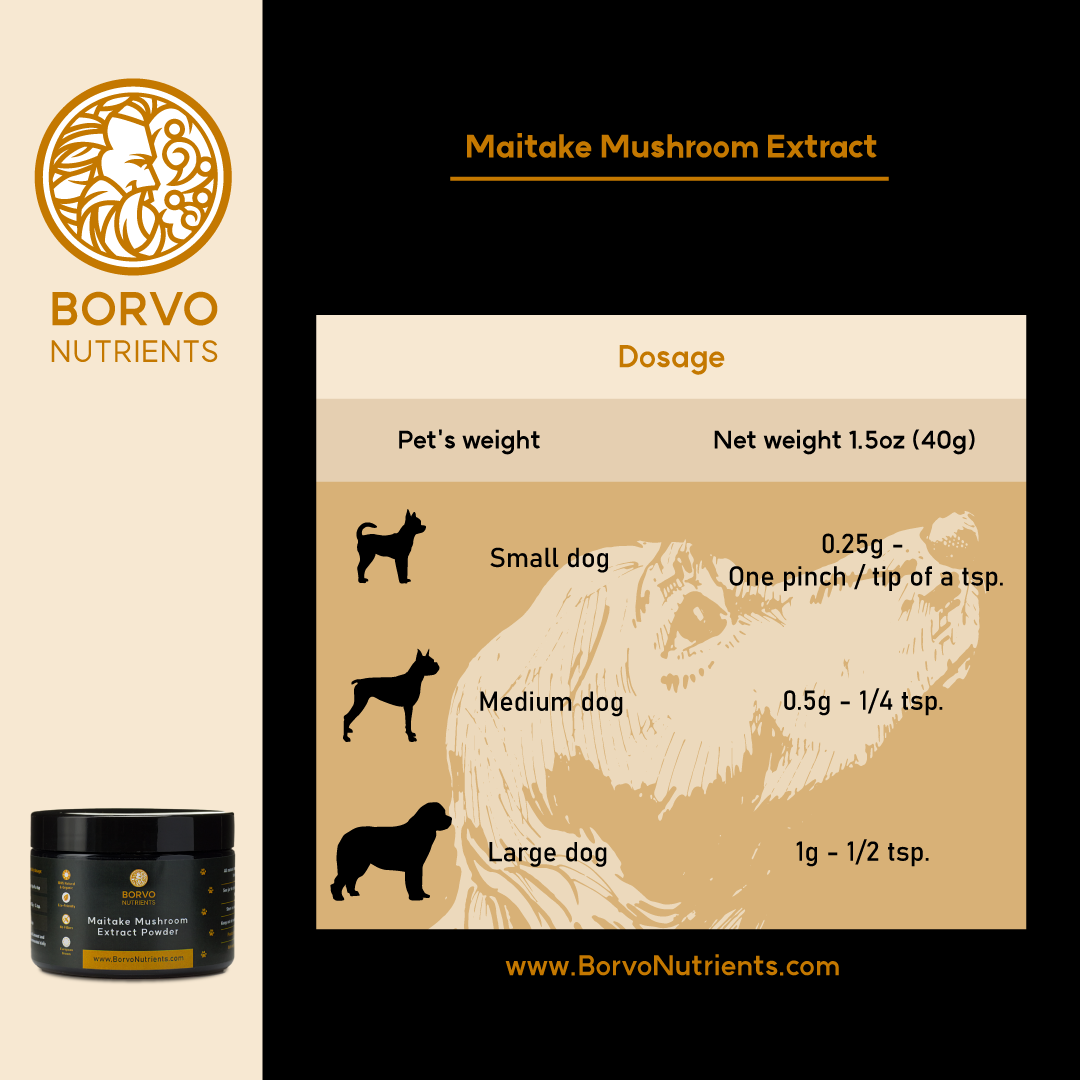 Feeding Instructions for Maitake Mushroom Extract: This infographic provides dosage instructions for Maitake Mushroom Extract based on different dog sizes. It specifies the amount in grams and corresponding spoon measurements for small, medium, and large dogs.