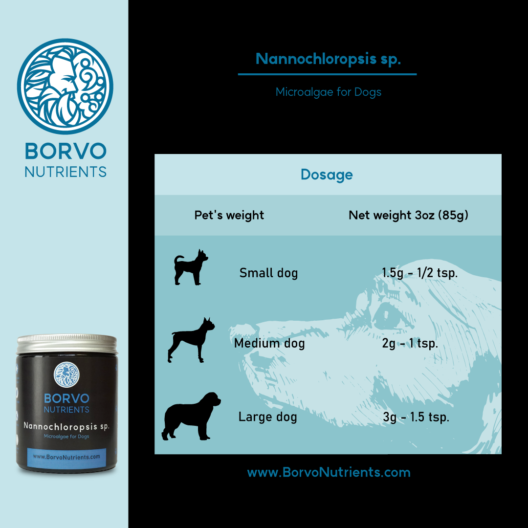 Nannochloropsis Microalgae for Dogs | Borvo Nutrients