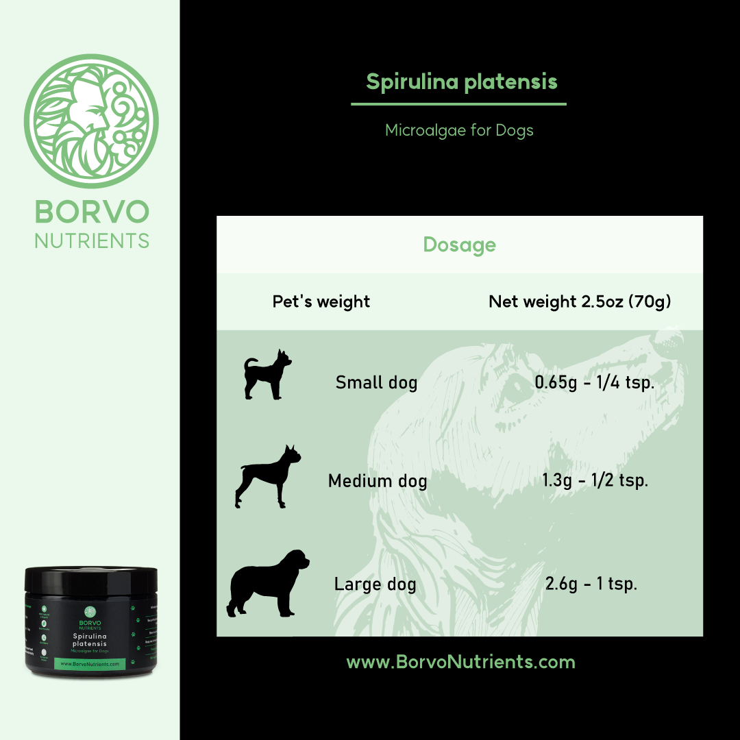 Feeding Instructions for Spirulina Platensis: This infographic gives dosage instructions for Spirulina Platensis based on different dog sizes. It details the amount in grams and corresponding spoon measurements for small, medium, and large dogs.