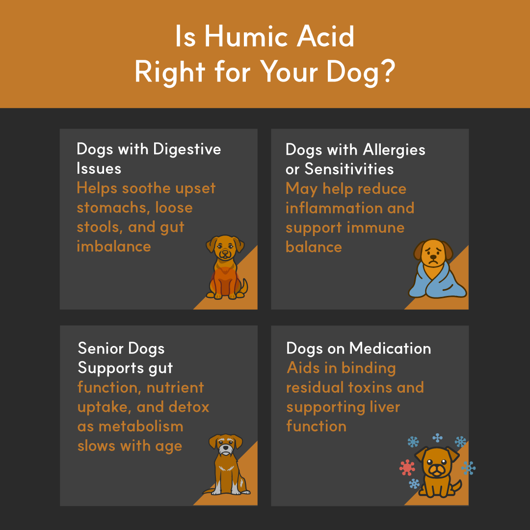 Four illustrated boxes highlight which dogs may benefit from humic acid: those with digestive issues, allergies or sensitivities, senior dogs, and dogs on medication. Each box includes a cartoon dog and a brief supportive explanation.