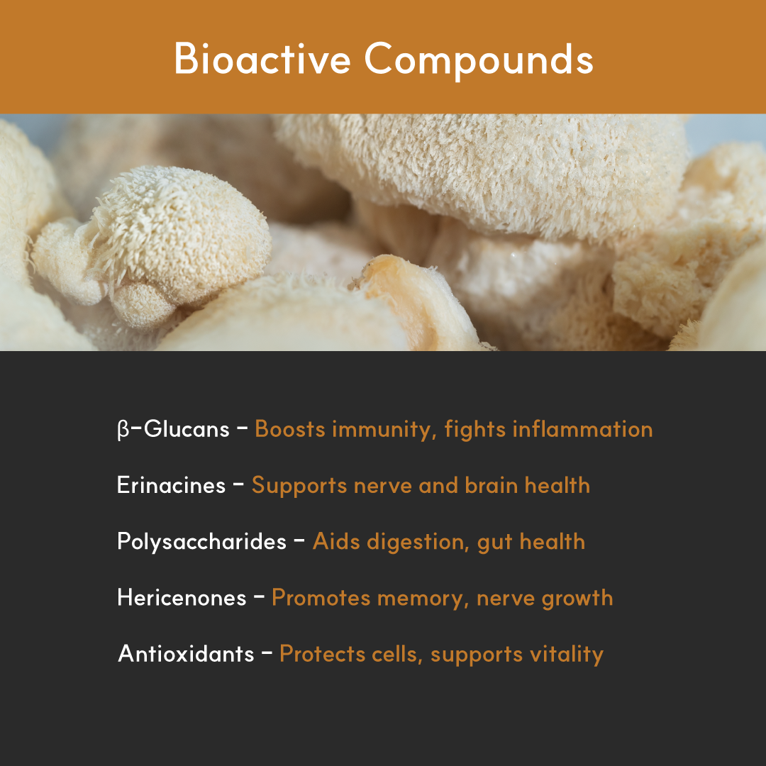 Lion's Mane Mushroom Powder Extract for Dogs - Ultrasound Assisted Extraction for Enhanced Potency  | Borvo Nutrients