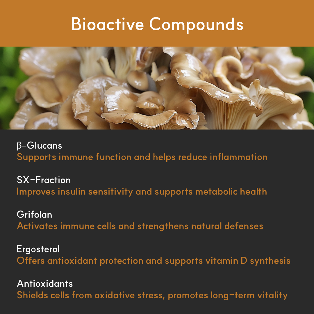 Maitake Mushroom Powder for Dogs - Ultrasound Assisted Extraction for Enhanced Potency  | Borvo Nutrients