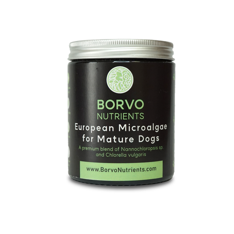 European Microalgae for Mature Dogs | Borvo Nutrients