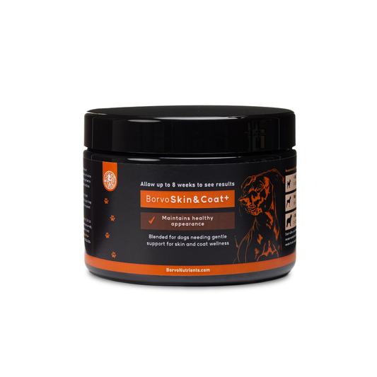 Skin & Coat+ for dogs | Borvo Nutrients