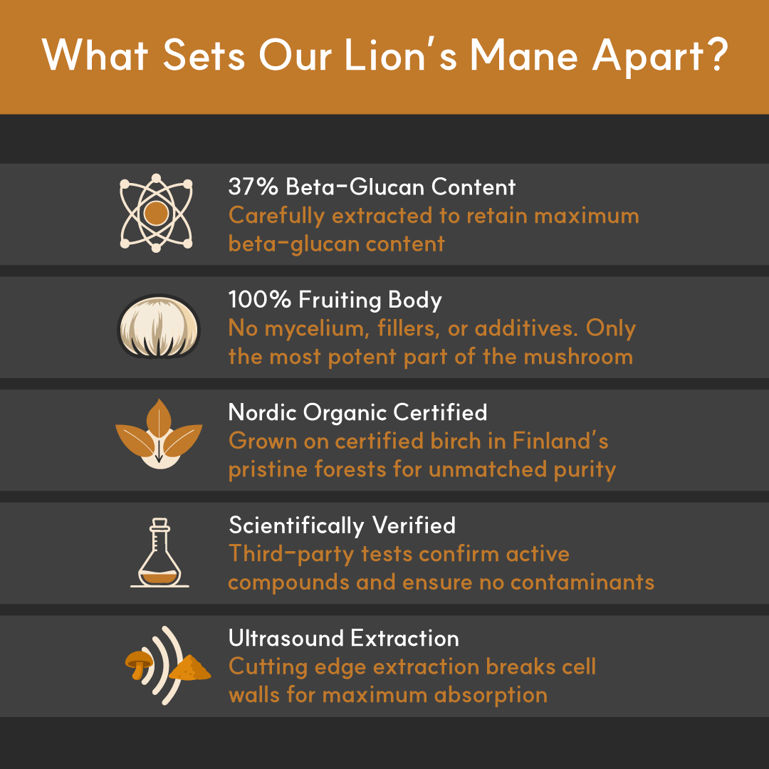Lion's Mane Mushroom Powder Extract for Dogs - Ultrasound Assisted Extraction for Enhanced Potency  | Borvo Nutrients