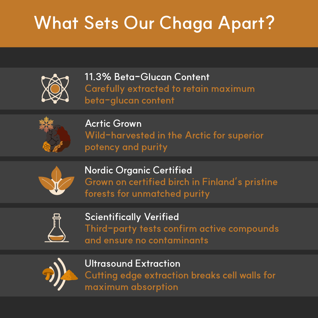 Finland-Grown Birch Tree Chaga Mushroom Extract for Dogs - Ultrasound Assisted Extraction for Enhanced Potency | Borvo Nutrients