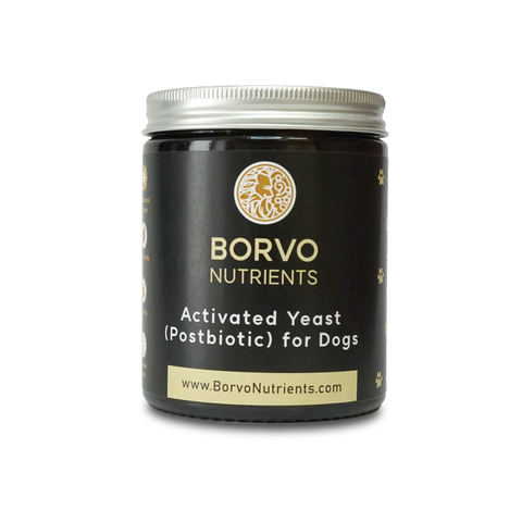 Activated Yeast (Postbiotic) for Dogs | Borvo Nutrients