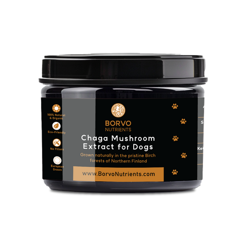 Finland-Grown Birch Tree Chaga Mushroom Extract for Dogs - Ultrasound Assisted Extraction for Enhanced Potency | Borvo Nutrients