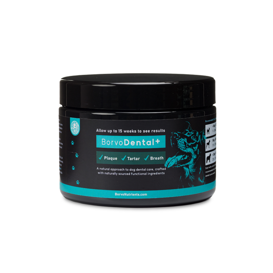 Dental+ for dogs | Borvo Nutrients